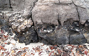 Imaxe do dep&oacute;sito / Imaxe: Adega