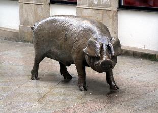 Barlow incorpora á súa publicación diversas fotografías tomadas en Galiza
