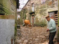 Do lado portugués da Raia / Flickr: ruiguerra